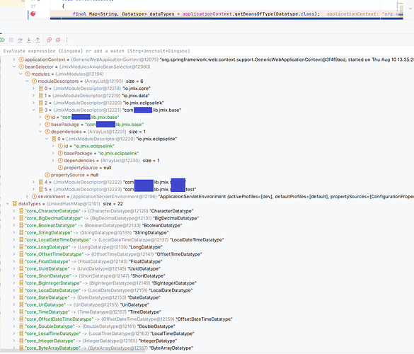 Jmix-2.0.1_missing-custom-datatypes